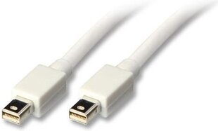 Lindy DisplayPort Mini-kaapeli-DisplayPort Mini, pituus: 1,5 metriä hinta ja tiedot | Kaapelit ja adapterit | hobbyhall.fi