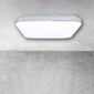 Eko-Light Palermo LED-kattovalaisin kaukosäätimellä 40 W hinta ja tiedot | Kattovalaisimet | hobbyhall.fi