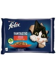 Felix-märkäruoka kissoille, naudanliha ja kana, 4 x 85 g. hinta ja tiedot | Felix Lemmikit | hobbyhall.fi
