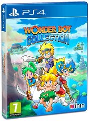 PS4 Wonder Boy Collection hinta ja tiedot | ININ Games Tietokoneet ja pelaaminen | hobbyhall.fi