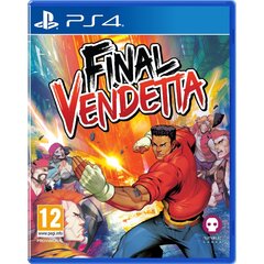 PS4 Final Vendetta - Collector's Edition hinta ja tiedot | Tietokone- ja konsolipelit | hobbyhall.fi