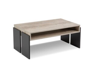 BSL Concept Zoie Sohvapöytä, 100x60x45 cm, musta/ruskea hinta ja tiedot | BSL Concept Olohuoneen kalusteet | hobbyhall.fi