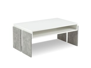 BSL Concept Zoie Sohvapöytä, 100x60x45 cm, valkoinen hinta ja tiedot | Sohvapöydät | hobbyhall.fi