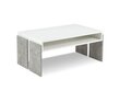 BSL Concept Zoie Sohvapöytä, 100x60x45 cm, valkoinen hinta ja tiedot | Sohvapöydät | hobbyhall.fi