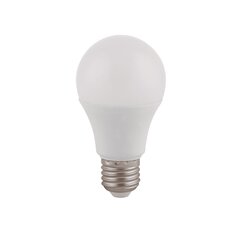 LED-lamppu Eurolight Havana A60 E27 9W/3000K hinta ja tiedot | Lamput | hobbyhall.fi