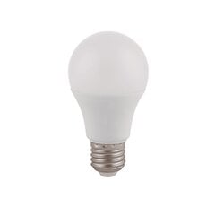 LED-lamppu Eurolight Havana A60 E27 9W / 4000K hinta ja tiedot | Lamput | hobbyhall.fi