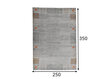 Matto Theko Denver 250x350 cm hinta ja tiedot | Isot matot | hobbyhall.fi