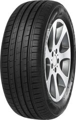 Minerva F209 205 / 65 R15 94 V hinta ja tiedot | Kesärenkaat | hobbyhall.fi