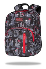 Reppu CoolPack Discovery Gringo C38254 Reppu CoolPack Discovery Gringo C38254 hinta ja tiedot | Koulureput ja -laukut | hobbyhall.fi