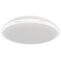 Eko-Light Terma White LED-kattovalaisin, 18W hinta ja tiedot | Kattovalaisimet | hobbyhall.fi