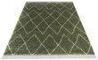 Matto Mint Rugs Desire Jade, 200x290 cm hinta ja tiedot | Isot matot | hobbyhall.fi