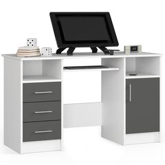 NORE : Ana - työpöytä. Väri : valkoinen. hinta ja tiedot | Tietokonepöydät ja työpöydät | hobbyhall.fi