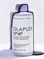 Shampoo värjätyille hiuksille Olaplex-nro. 4P 250 ml hinta ja tiedot | Shampoot | hobbyhall.fi