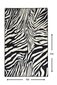 Matto Zebra, 160x230 cm hinta ja tiedot | Isot matot | hobbyhall.fi