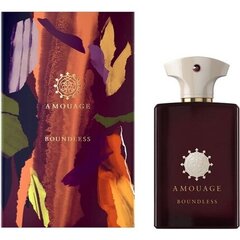 Eau de parfum Amouage Boundless EDP naisille / miehille, 100 ml hinta ja tiedot | Amouage Hajuvedet ja tuoksut | hobbyhall.fi