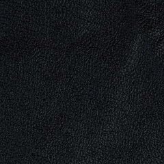 Nojatuoli Rosa, nahkaverhoiltu, mustat jalat, Nojatuoli Rosa, nahkaverhoiltu, musta 0100, mustat jalat hinta ja tiedot | Nojatuolit | hobbyhall.fi