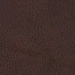 Kulmasohva Sofia, vasen kulma, verhoiltu nahalla, jalat - pähkinäpuu, Kulmasohva Sofia, vasen kulma, verhoiltu nahalla - ruskea 8040, jalat - pähkinäpuu hinta ja tiedot | Kulmasohvat ja divaanisohvat | hobbyhall.fi