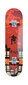 Rullalauta Schildkrot Kicker 31 "Red Parkour. hinta ja tiedot | Skeittilaudat | hobbyhall.fi