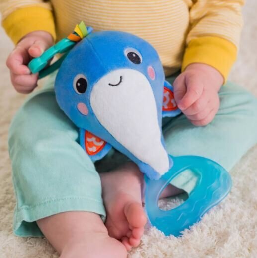 Ripustettava lelu Bright Starts Dolphin, sininen, 12505 hinta ja tiedot | Vauvan lelut | hobbyhall.fi