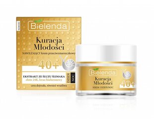 Kosteuttava ryppyjä ehkäisevä kasvovoide Bielenda Youth Treatment 40+ Kosteuttava 50 ml hinta ja tiedot | Bielenda Kasvojenhoitotuotteet | hobbyhall.fi