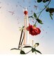 Hajuvesi Kenzo Flower by Kenzo L'Absolue EDP naisille 50 ml hinta ja tiedot | Naisten hajuvedet | hobbyhall.fi