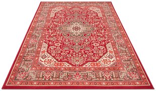 Matto Nouristan Mirkan Skazar Isfahan 160x230 cm, punainen hinta ja tiedot | Isot matot | hobbyhall.fi