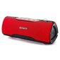 Aiwa BST-500RD kannettava langaton kaiutin 903933830 hinta ja tiedot | Kaiuttimet | hobbyhall.fi