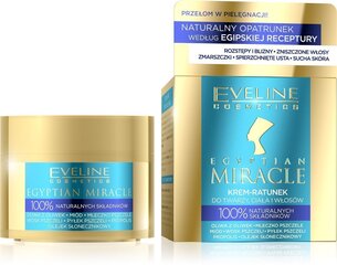Kasvo-, vartalo- ja hiusvoide Eveline Egyptian Miracle 40 ml hinta ja tiedot | Kasvovoiteet | hobbyhall.fi