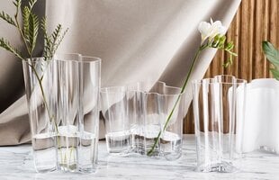 Iittala Aalto Maljakko 251 mm kirkas hinta ja tiedot | Maljakot | hobbyhall.fi