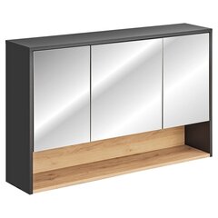 Homede Galio - Seinäkaappi Kylpyhuoneeseen, 120 cm. Väri harmaa. hinta ja tiedot | Kylpyhuonekaapit | hobbyhall.fi