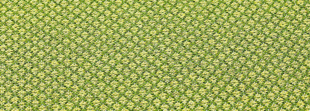 NARMA Diby -kaksipuolinen plasticWeave matto, vihreä, 70 x 150 cm hinta ja tiedot | Isot matot | hobbyhall.fi