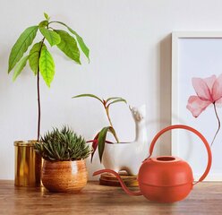 Kastekannu Floriane Garden SLK0005, 1,5 l, punainen hinta ja tiedot | Kalune Design Piha ja puutarha | hobbyhall.fi