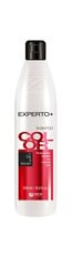 Shampoo värjätyille hiuksille Cece Experto + Color, 500 ml hinta ja tiedot | Shampoot | hobbyhall.fi