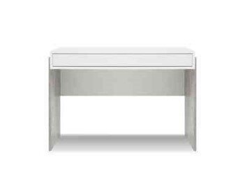 BSL Concept Zhuri työpöytä, 110x60x80 cm, valkoinen hinta ja tiedot | Tietokonepöydät ja työpöydät | hobbyhall.fi