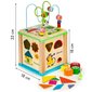 Puinen kehittyvä kuutio - lajittelija Ecotoys HM015470 hinta ja tiedot | Vauvan lelut | hobbyhall.fi