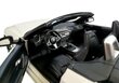 BMW Z4 Roadster kauko-ohjattava auto hinta ja tiedot | Poikien lelut | hobbyhall.fi
