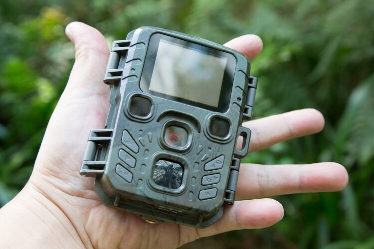 Technaxx Mini Nature Wild Cam TX-117 hinta ja tiedot | Valvontakamerat | hobbyhall.fi
