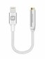 Swissten Lightning to Jack 3.5mm Audio Adapter for iPhone and iPad 15 cm Silver hinta ja tiedot | Adapterit | hobbyhall.fi