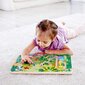 Educational lelu Jungle Labyrinth Hape, E1714 hinta ja tiedot | Vauvan lelut | hobbyhall.fi