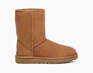 UGG naisten talvisaappaat CLASSIC SHORT II, ruskea hinta ja tiedot | Naisten saappaat | hobbyhall.fi