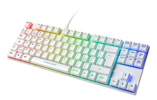 Deltaco Gaming GAM-111-W-UK RGB EN hinta ja tiedot | Deltaco Tietokoneen lisälaitteet | hobbyhall.fi