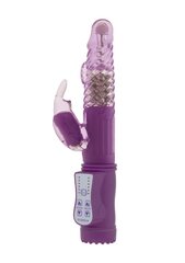 GC Vibrator Vibrating Rabbit, violetti hinta ja tiedot | Vibraattorit | hobbyhall.fi