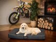 Hobbydog peti Musta Ekolen L, 90x70 cm, 90x70 cm hinta ja tiedot | Pedit ja pesät | hobbyhall.fi