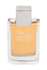 -hajuvesi Jaguar Excellence EDT miehille 100 ml hinta ja tiedot | Jaguar Hajuvedet ja kosmetiikka | hobbyhall.fi