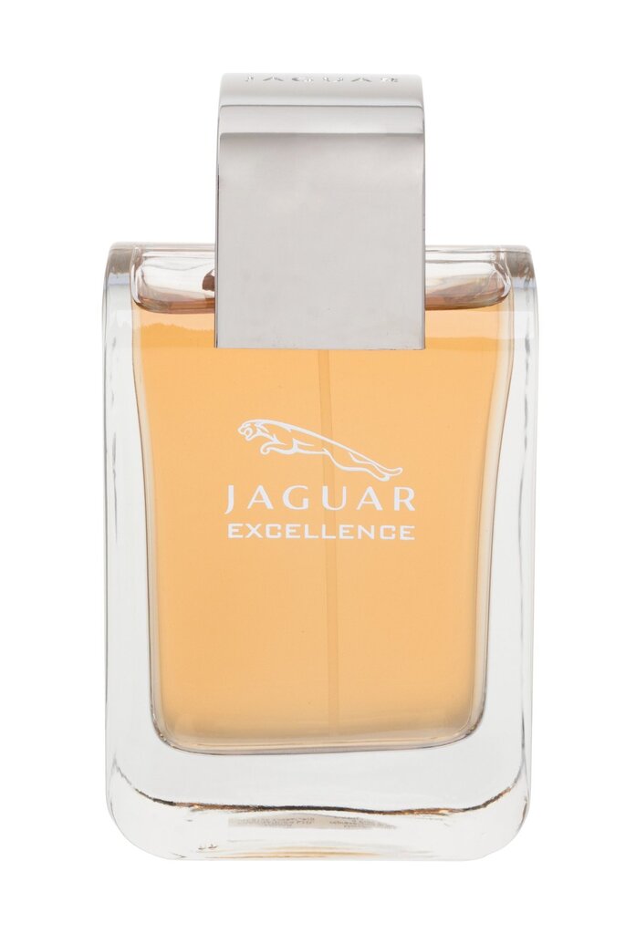 -hajuvesi Jaguar Excellence EDT miehille 100 ml hinta ja tiedot | Miesten hajuvedet | hobbyhall.fi