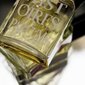 Parfyymi Histoires de Parfums 1828 Jules Verne EDP miehille 60 ml hinta ja tiedot | Miesten hajuvedet | hobbyhall.fi