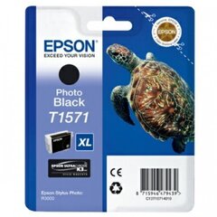 Epson T1571 Ink Cartridge, Photo Black hinta ja tiedot | Laserkasetit | hobbyhall.fi