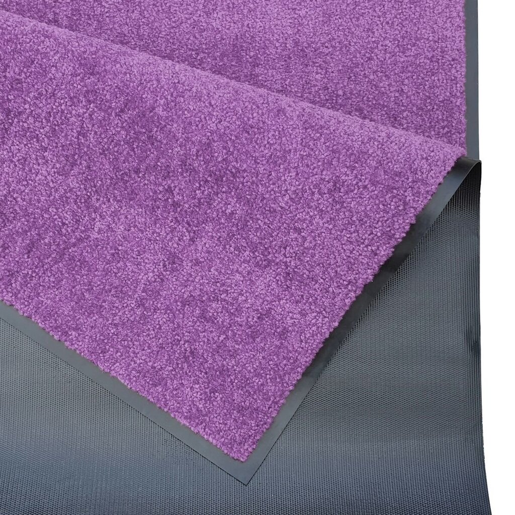 Hanse Home kynnysmatto Wash & Clean, 90x150 cm hinta ja tiedot | Ovimatot | hobbyhall.fi