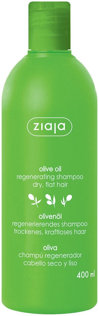 Hengittävä shampoo, 400 ml hinta ja tiedot | Shampoot | hobbyhall.fi