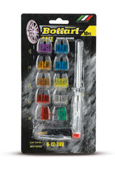 Bottari Safe sulakkeet hinta ja tiedot | Bottari Autotuotteet | hobbyhall.fi